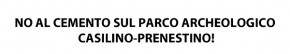 APPELLO CONGIUNTO FDS-SEL-IDV-PD-API: FERMIAMO IL CEMENTO AL CASILINO!